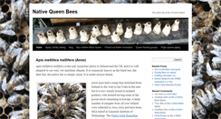 Desktop Screenshot of native-queen-bees.com